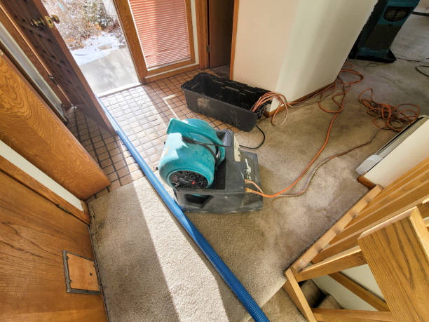  Stevenson, WA Water damage restoration Pros