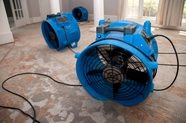 Best Fire Damage Restoration  in Stevenson, WA
