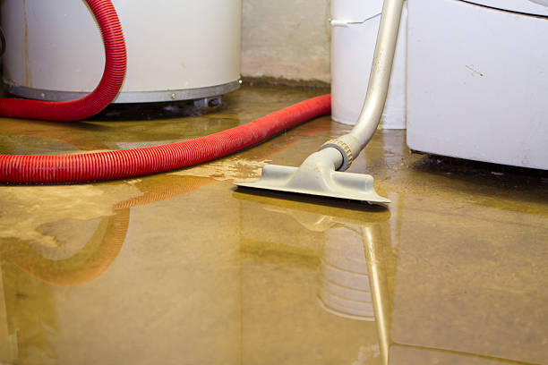 Best Flood damage cleanup  in Stevenson, WA