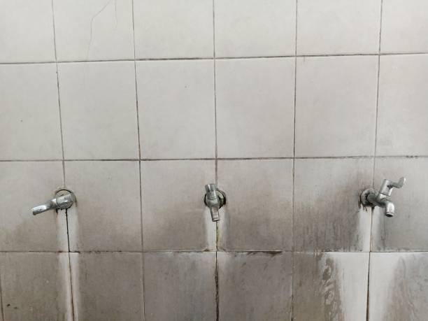 Best Sewage cleanup and water damage restoration  in Stevenson, WA