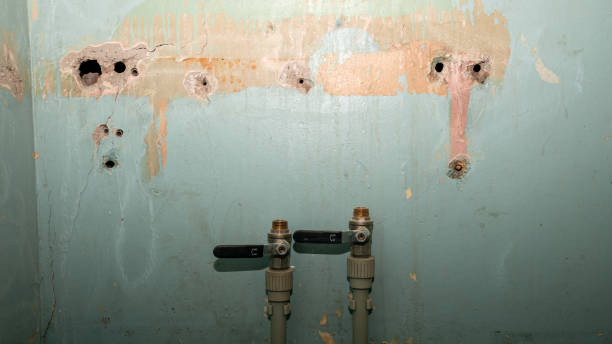 Best Water damage mitigation services  in Stevenson, WA