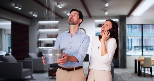 Best Professional water damage repair  in Stevenson, WA
